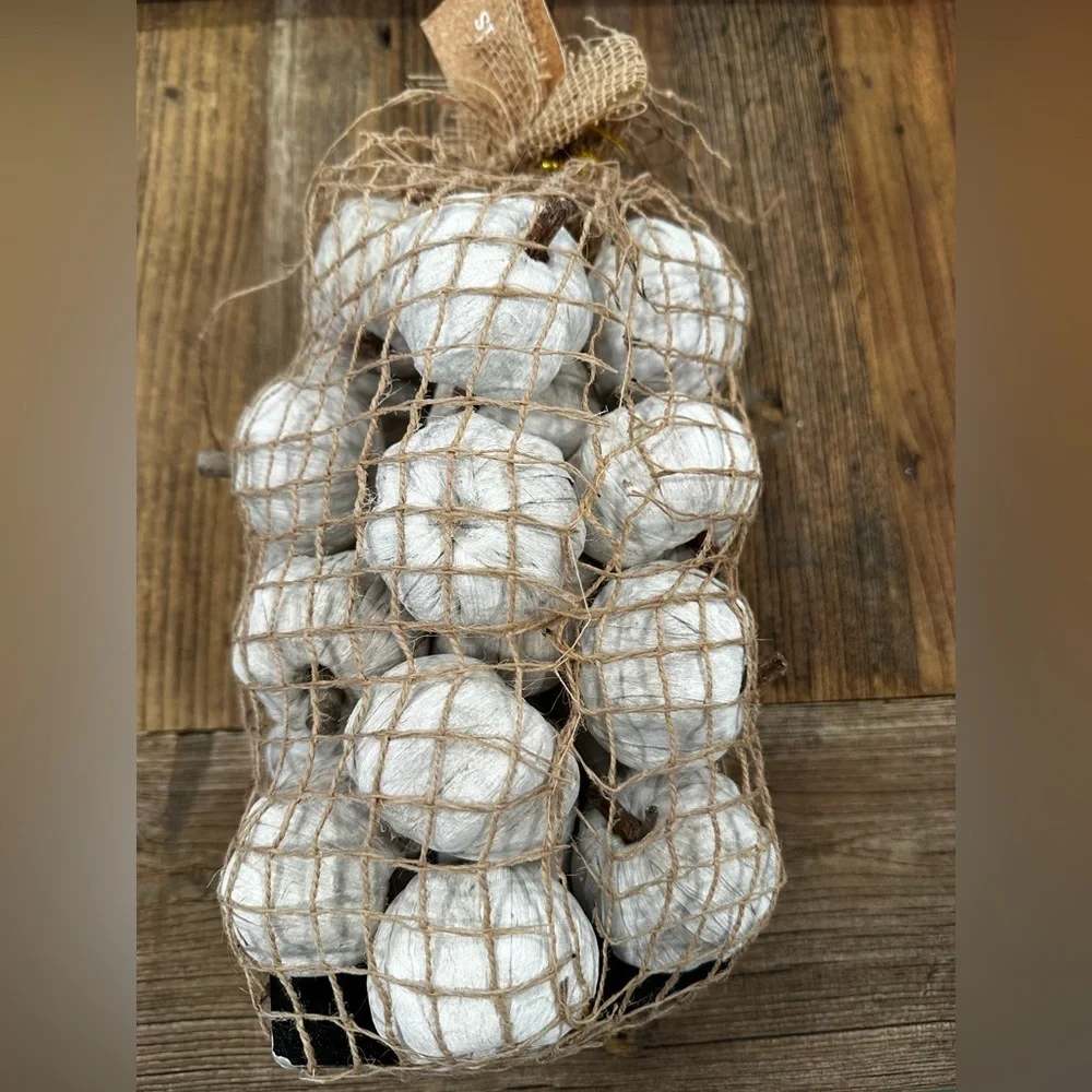 Rustic White Decorative pumpkin String